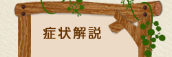 症状解説